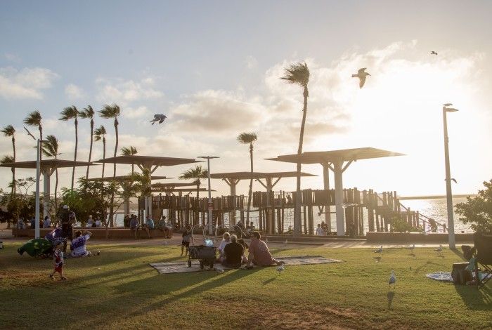 Dampier Palms birds flying over